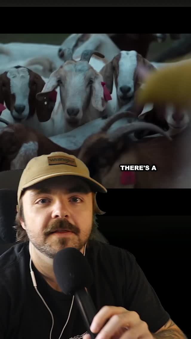 When Evil Lurks is actually based on real life events.